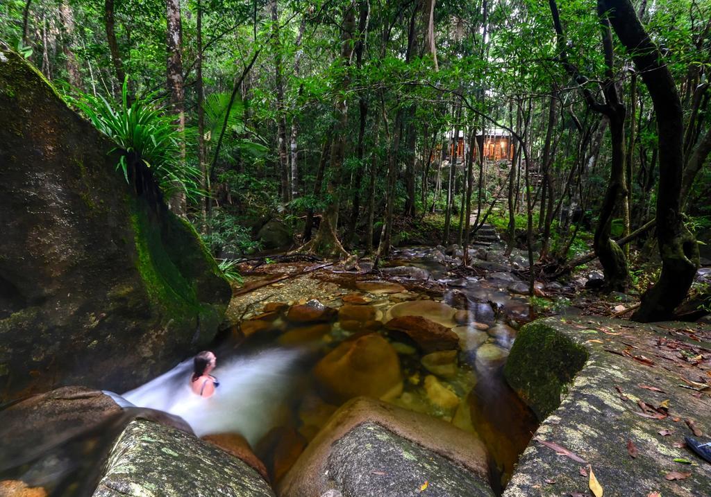 Daintree Cascades Villa Cape Tribulation Exterior photo