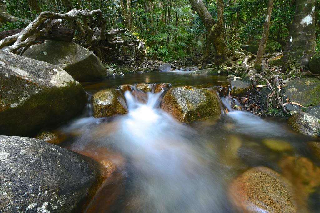Daintree Cascades Villa Cape Tribulation Exterior photo