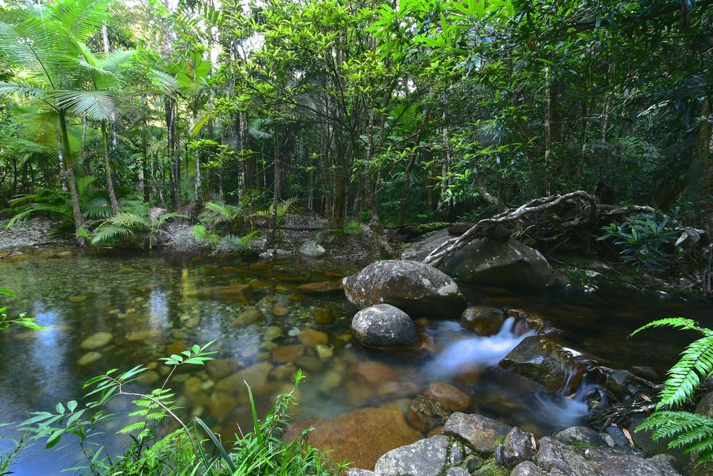 Daintree Cascades Villa Cape Tribulation Exterior photo