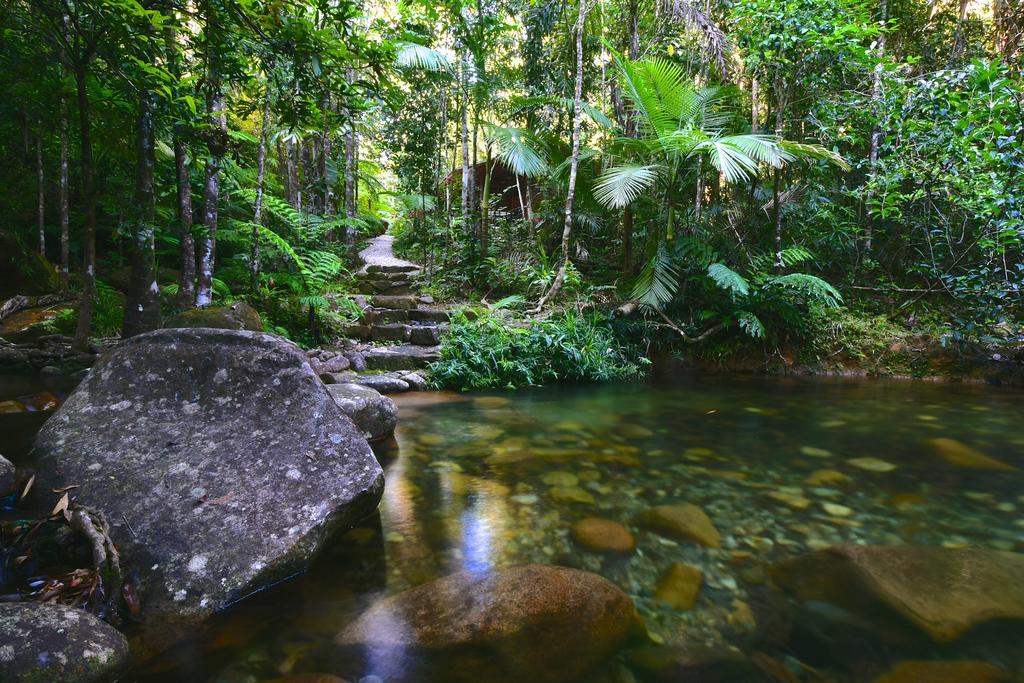 Daintree Cascades Villa Cape Tribulation Exterior photo