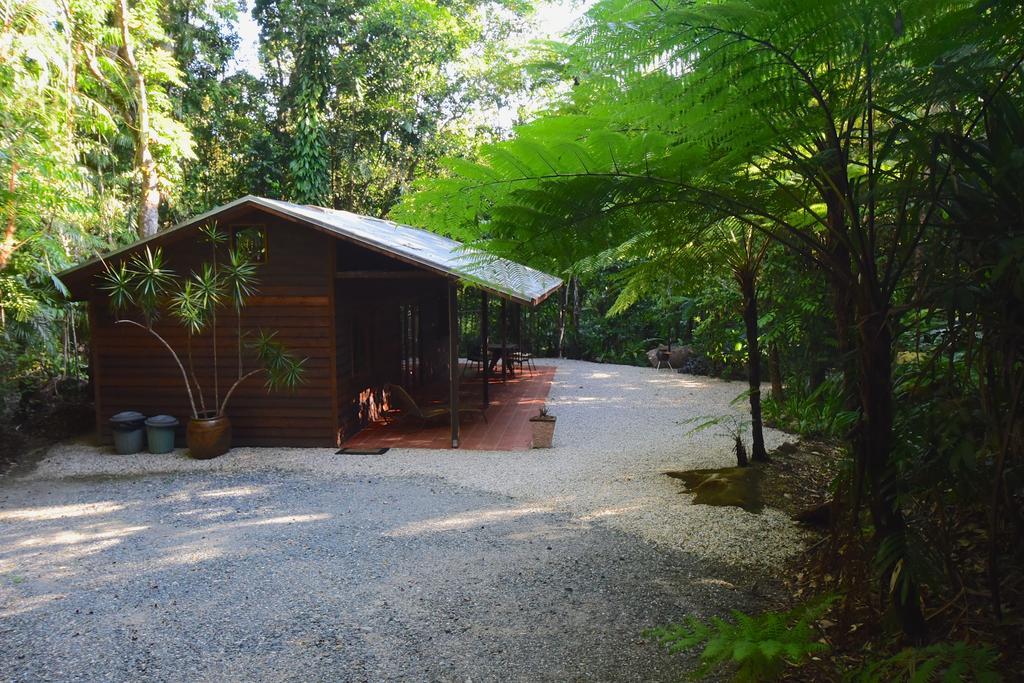 Daintree Cascades Villa Cape Tribulation Exterior photo